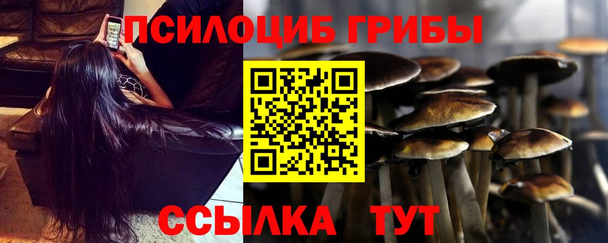 Псилоцибиновые грибы Cubensis Ликино-Дулёво